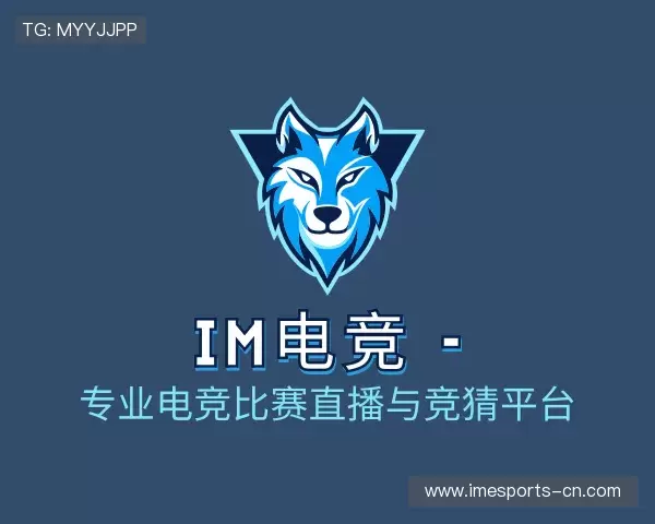 了解IM电竞